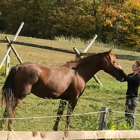 D & K Ranch Martha East Interlaken 外观 照片