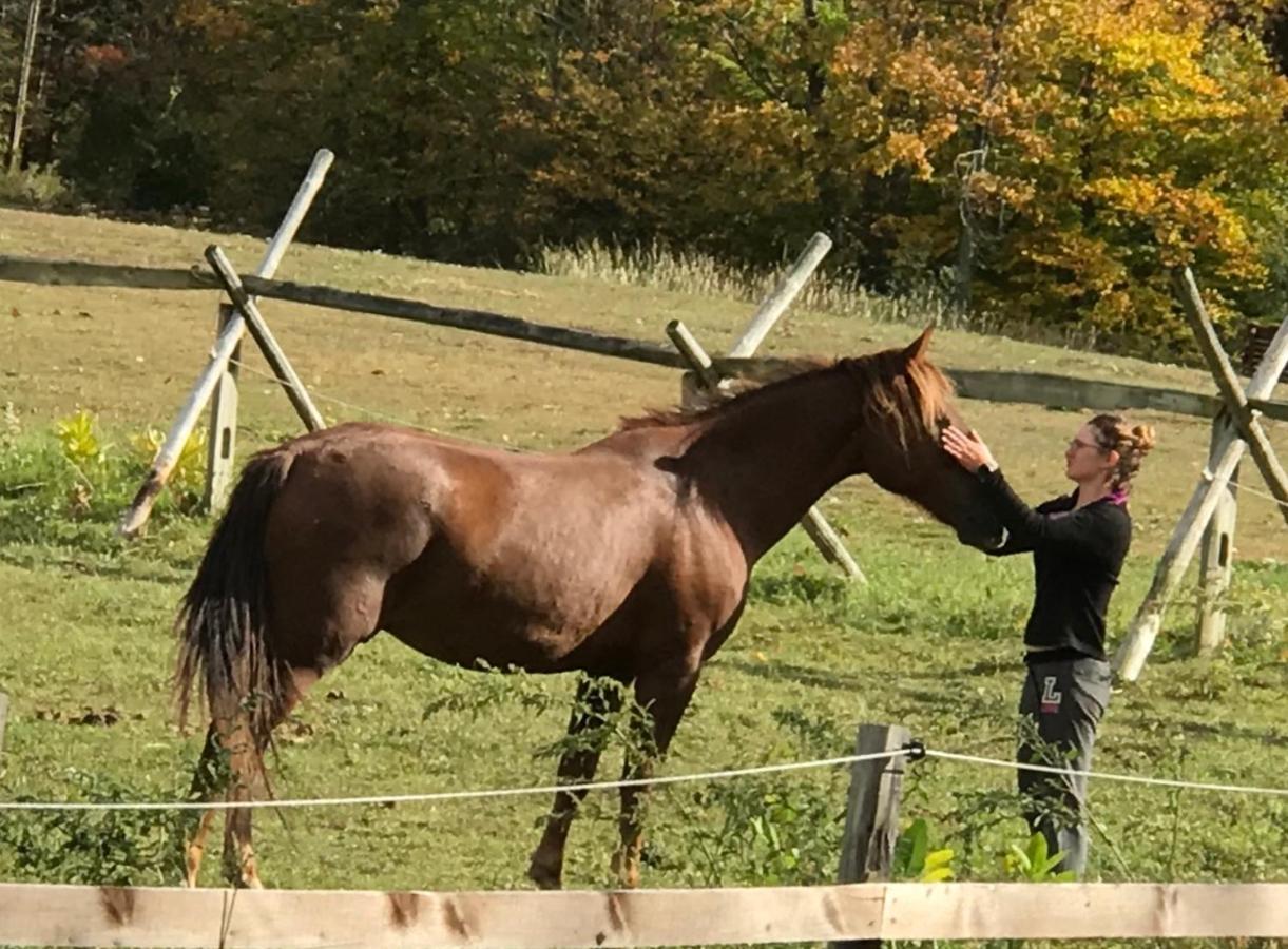 D & K Ranch Martha East Interlaken 外观 照片
